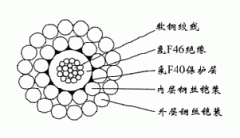 FL-WGSF46-5.60mm氟塑料F46絕緣F40護(hù)套雙鋼絲鎧裝承荷探測(cè)電纜