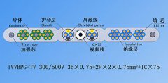 扁平絞合型排列帶屏蔽、鋼芯和視頻線電梯電纜