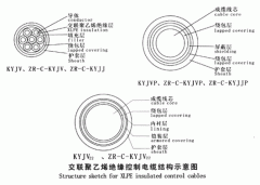 KYJV，KYJVP，KYJV22額定電壓0.6/1kV交聯(lián)聚乙烯絕緣控制電纜