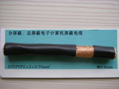 DJYPVP 2*2*0.75 分屏蔽、總屏蔽電子計算機(jī)屏蔽電纜