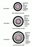 PTYA23、PTYA22鐵路鎧裝信號電纜